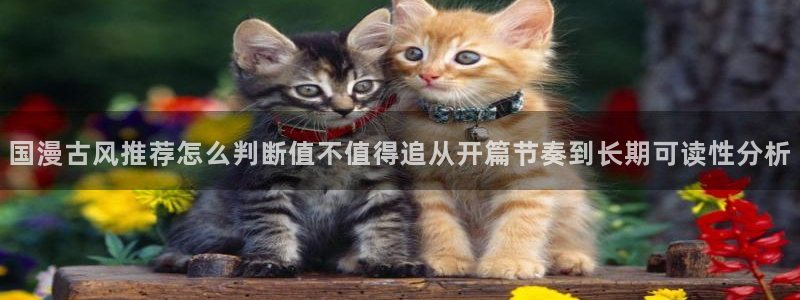 漫画岛热门连载漫画