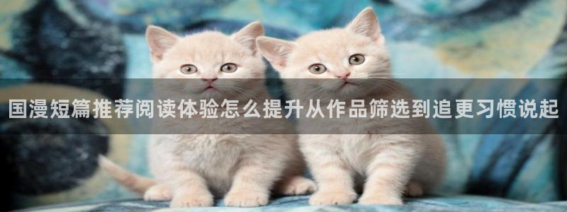 漫画岛漫画资源